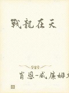 战龙在天