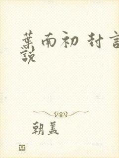叶南初 封言小说