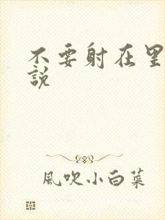 不要射在里面小说