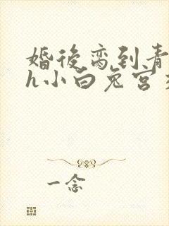 婚后脔到青梅哭h小白兔宫交h