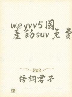 weyvv5国产的suv免费