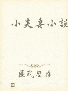 小夫妻小说