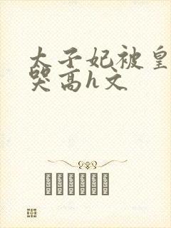 太子妃被皇上c哭高h文