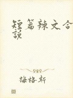 短篇辣文合集小说