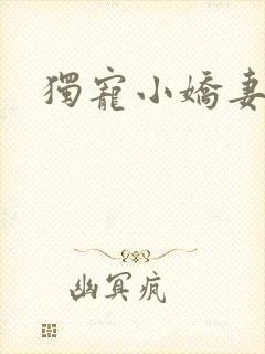 独宠小娇妻