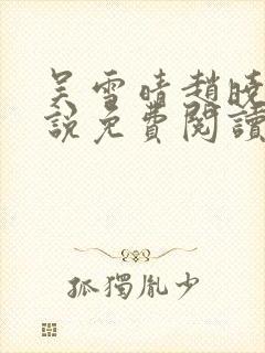 吴雪晴赵晓东小说免费阅读