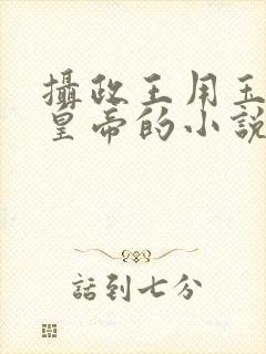 摄政王用玉髓整皇帝的小说