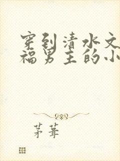 穿到清水文里造福男主的小说