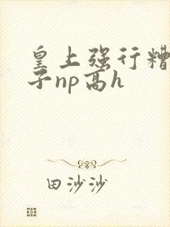 皇上强行糟蹋太子np高h