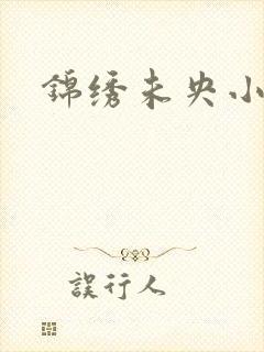 锦绣未央小说