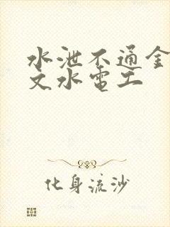 水泄不通金银原文水电工