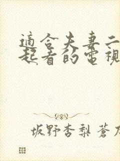 适合夫妻二人一起看的电视剧