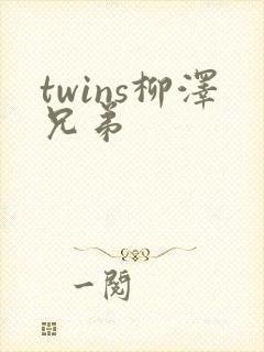 twins柳泽兄弟