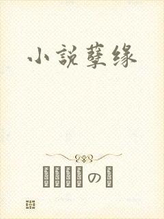小说孽缘