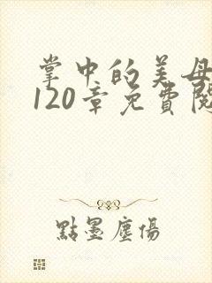 掌中的美母版主120章免费阅读