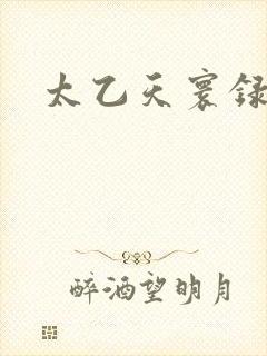 太乙天寰录