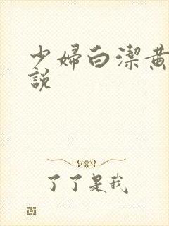 少妇白洁黄色小说