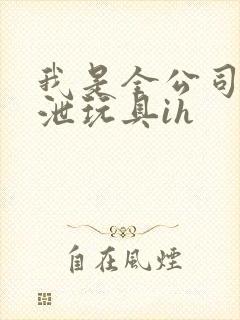 我是全公司的发泄玩具ih