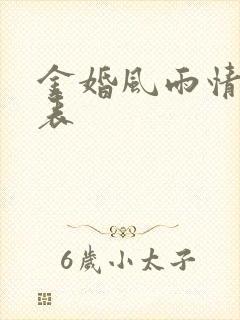 金婚风雨情演员表