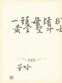 一头母猪 BY 黄金圣斗士