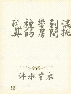 我被带到满是玩具的房间挑调游戏