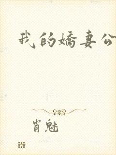 我的娇妻公务员