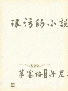 很污的小说
