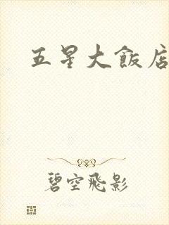 五星大饭店小说