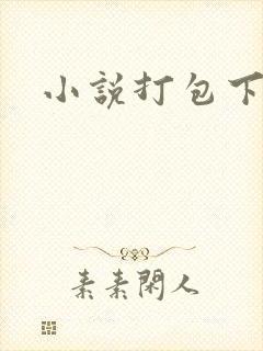 小说打包下载