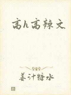 高h高辣文