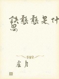 铁憨憨是什么意思