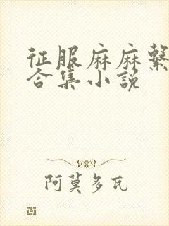 征服麻麻系列大合集小说