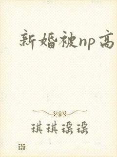新婚被np高h