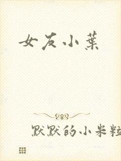 女友小叶