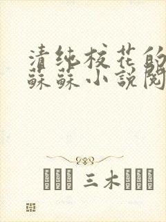 清纯校花的日常苏苏小说阅读全文