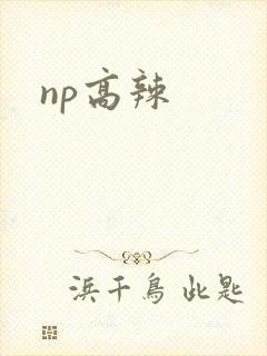 np高辣