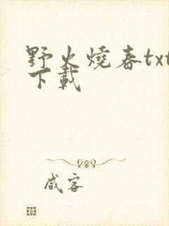 野火烧春txt下载