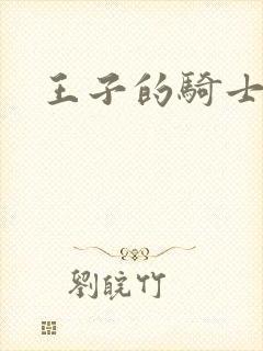 王子的骑士
