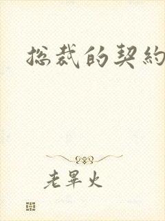 总裁的契约情人