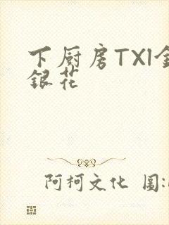 下厨房TXl金银花