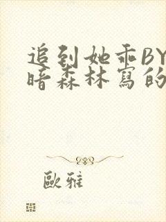 追到她乖BY黑暗森林写的小说