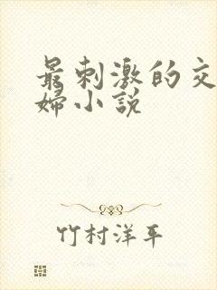 最刺激的交换夫妇小说