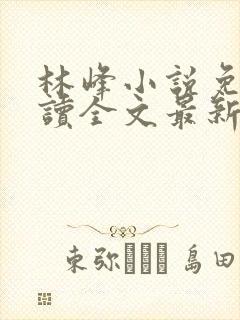 林峰小说免费阅读全文最新章节