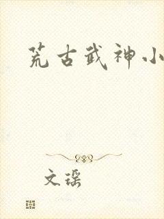 荒古武神小说