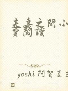 夫妻之间小说免费阅读