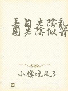 长日光阴乱作一团光阴似箭免费阅读