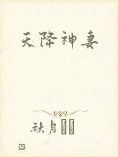天降神妻