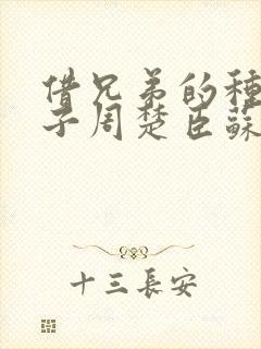 借兄弟的种生孩子周楚臣苏糖