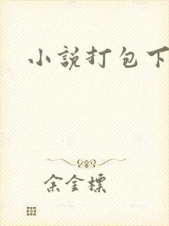 小说打包下载