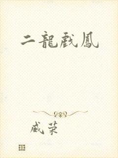 二龙戏凤